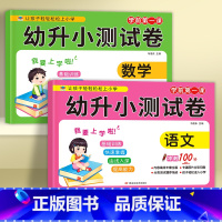 [语文+数学]幼升小测试卷(全2册) [正版]幼升小试卷测试卷幼小衔接练习册全套一日一练幼儿园大班升一年级语文数学同步练