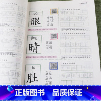 [上册+下册]语文多功能生字卡片 小学二年级 [正版]二年级上下册语文多功能生字卡片控笔抄写本幼小衔接二年级暑假期认识字