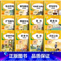 [全12本]字词句成语训练大全 小学通用 [正版]小学语文字词句成语专项训练大全小学生1-6年级通用版的地得用法易错字词