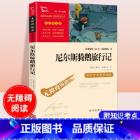 [寒假阅读]厄尔斯骑鹅旅行记 小学通用 [正版]六年级上册寒假阅读大考卷下册课外书鲁滨逊漂流记尼尔斯骑鹅旅行记爱丽丝漫游