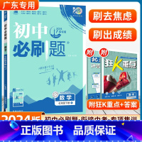 数学 人教版-广东专用 [正版]2024版初中七年级下册数学人教版同步训练初一下册北师湘教沪科数学7年级七下练习册全套试