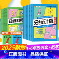 [全2册]分级计算+分级默写-人教版 二年级下 [正版]2025新小学生语文分级默写小能手一二三四五六年级上册数学分级计