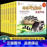 西顿野生动物 全套8册 [正版]西顿动物故事集荒地野狼大角羊克拉格忠犬珍克酷小丫全8册彩绘版小学生一至六年级通用课外阅读