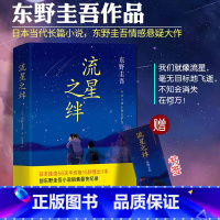 [正版]流星之绊 东野圭吾 日本原版中文翻译情感悬疑推理文学外国文学小说南海出版社精装版日本推理小说书排行榜中小学
