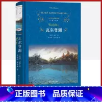 [正版]经典译林瓦尔登湖精装版梭罗原著译林出版社外国现当代经典小说读物世界名著儿童文学整书精读初高中小学生课外阅读世界