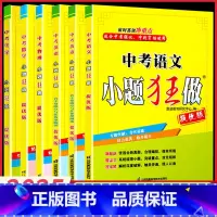 [2025版]中考语文 阅读理解 提优版 江苏省 [正版]2025版小题狂做中考语文数学英语物理化学提优版初中 生初三九