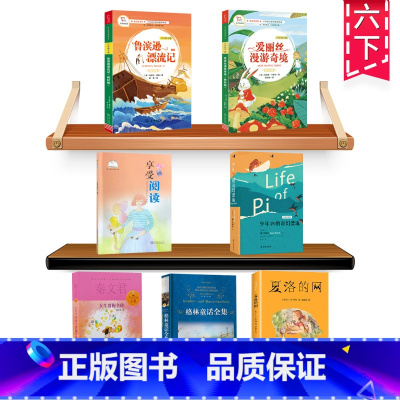 六年级下册阅读考级全套7本 [正版]少年Pi的奇幻漂流译林出版社儿童读物世界文学经典名著校园成长小说故事书籍寒假阅读常熟