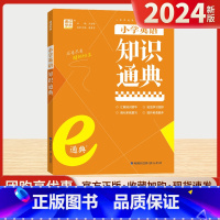 英语 小学通用 [正版]2025小学知识通典语文数学英语通用版通城学典一二 三四 五六 年级升学夺冠知识大集结知识点汇总