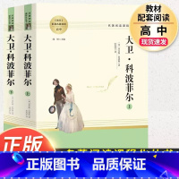 大卫科波菲尔.名著阅读课程化.南方出版社 [正版]大卫科波菲尔上下册高中语文配套名著阅读英查尔斯狄更斯著宋兆霖译高中生高