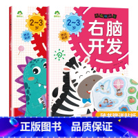 [2册]2-3岁左右脑开发 [正版]爱德少儿左右脑开发2二3三4四5五6六岁儿童益智启蒙逻辑思维训练专注力游戏学前幼儿园