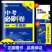 语文 初中通用 [正版]2025新版全国中考真题卷 一年真题语文数学英语物理化学历史道德生物地理会考真题卷资料模拟试卷必