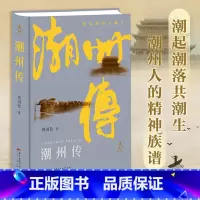 潮州传 [正版]出版社直发潮州传黄国钦精装城市传记地方志潮汕文化书潮州菜衣食住行粤港澳大湾区岭南历史文化书籍广东人民