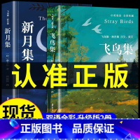 [双语无删减 抖音]飞鸟集+新月集 [正版]飞鸟集泰戈尔诗选全2册 三年级飞鸟集+新月集诗集六年级初中生课外阅读书籍