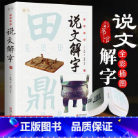 [正版]说文解字 小学生少儿学习汉字演变图解象形文字书字典给孩子的汉字王国一年级二三年级读物甲骨文字的演变注咬文嚼字合
