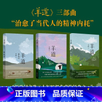 羊道·前山夏牧场 [正版]羊道三部曲 春牧场/前山夏牧场/深山夏牧场 李娟经典散文集 遥远的向日葵地冬牧场我的阿勒泰的角