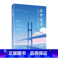 深中通道——穿越千年文明,迈向中国式现代化 [正版]深中通道——穿越千年文明,迈向中国式现代化 展现历史变迁和时代语境下