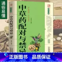 中草药配对与禁忌 [正版]中草药配对与禁忌 传统医药典籍民间偏方千金要方中医药方家庭健康保健中医入门中药中草药鉴定配方秘
