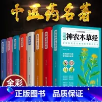 中医名著8册全套 [正版]中医名著全套8册图解本草纲目黄帝内经千金方汤头歌诀金匮要略神农本草经温病条辨伤寒论张仲景白话典