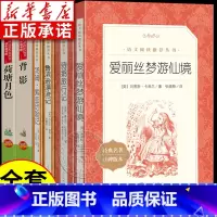 [全6册]背影/荷塘/爱丽丝/鲁滨逊/骑鹅/汤姆索亚 [正版]鲁滨逊漂流记原著完整版 广东六年级下必读课外书林海雪原 骑