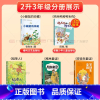 [全5册] 二升三年级 [正版]书店2024广东天天共读二升三年级快乐读书吧上格林童话安徒生童话稻草人注音版鸡毛鸭和鸭毛