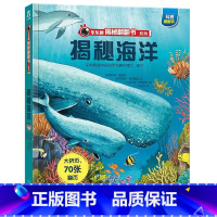❤揭秘海洋[旧版] [正版]单本任选揭秘儿童翻翻书系列立体书 儿童3d立体书恐龙海洋太空汽车机器人体动物科普百科绘本 3