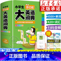 [彩图大字版]大英语词典 [正版]小学生多功能大英语词典小学生 英汉字典双解大词典 儿童英语阅读语法单词词汇图解词典常用