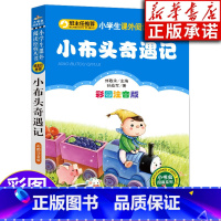 [正版]小布头奇遇记 彩图注音版阅读系列 6-10岁小学生一二三年级课外读物 北京教育出版社