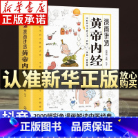 漫画讲透黄帝内经 [正版]漫画讲透黄帝内经原版 张嘉铭王婧著 十二时辰养生智慧二十四节气 中医入门名著养生图解皇帝内经漫