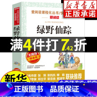 [正版]绿野仙踪 含原著小学生课外阅读书籍三年级四五六青少年儿童文学教育读物注释快乐读书吧 天地出版社无障碍精读版