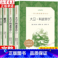 高中4册 大卫科波菲尔上下+复活+老人与海 [正版]大卫科波菲尔人民文学出版社 全2册 查尔斯狄更斯 庄绎传世界名著含