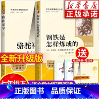 [全2册]升级版7年级下册 钢铁是怎样炼成的+骆驼祥子 [正版]钢铁是怎样炼成的 人民教育出版社 八年级下册阅读名著阅读
