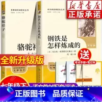 [全2册]升级版7年级下册 钢铁是怎样炼成的+骆驼祥子 [正版]钢铁是怎样炼成的 人民教育出版社 八年级下册阅读名著阅读