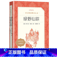 绿野仙踪 [正版]绿野仙踪 书 张晓路译含原著原版 人民文学出版社 语文阅读丛书目 小学生三年级课外书四年级课外阅读书籍