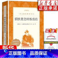 钢铁是怎样炼成的 [正版]七年级下册课外书阅读 钢铁是怎样炼成的 含原著世界名著 初中生七八九年级课外书目语文书
