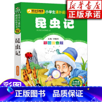 [正版]昆虫记 彩图注音版 法布尔著 小学一二三四年级课外书籍阅读系列 小学生语文阅读书籍6-12岁小学生 北京教育出
