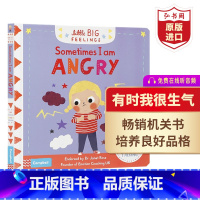 [正版]有时我很生气 英文原版绘本 Little Big Feelings Sometimes I Am Angry