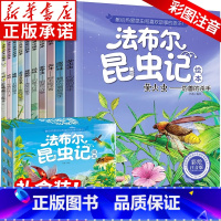 [注音版]法布尔昆虫记全10册 [正版]书店法布尔昆虫记注音版全套10册 昆虫记三年级阅读课外书一二四年级小学生课外阅读