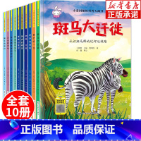 [双语科普]小爱因斯坦大画书 全10册 [正版]精装硬壳幼儿绘本阅读幼儿园绘本3-5-6岁 情绪管理与性格培养绘本宝宝故