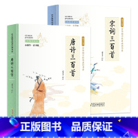 小国学全2册 唐诗三百首+宋词三百首 [正版]全2册 唐诗三百首+宋词三百首小国学青少版拓展阅读 中华国学经典书系 小学
