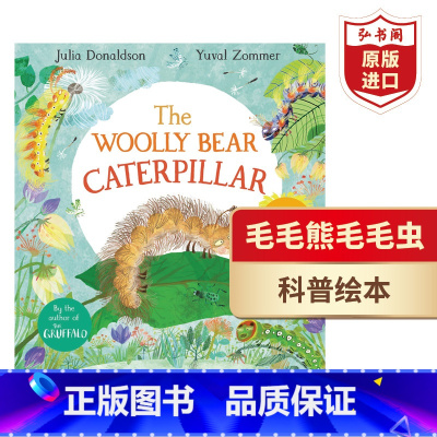 [正版]毛毛熊毛毛虫 羊毛熊 英文原版 The Woolly Bear Caterpillar咕噜牛作者朱莉娅唐纳森