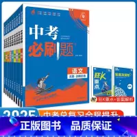 [全国通用]全套9本 初中通用 [正版]2025新中考合订本九年级上下册数学语文物理英语化学政治总复习资料书初中初三