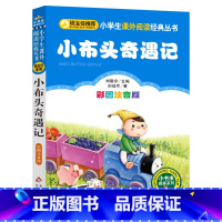 小布头奇遇记 [正版]彩图注音版小布头奇遇记注音版一二三年级上下册童话文学老师图书本小学生课外阅读书籍少儿读物儿童故事书