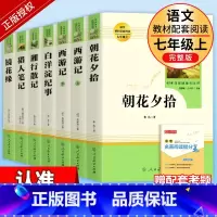 [人教版7册]七上全套必读+选读名著 [正版]七年级上册猎人笔记镜花缘 湘行散记 白洋淀纪事人教版书目人民教育出版社原著