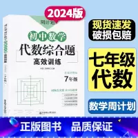 代数综合题[数学] 七年级/初中一年级 [正版]周计划初中数学计算题几何综合题代数综合题训练7七年级上下册思维数学练习题