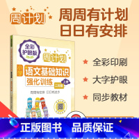 周计划-语文基础知识强化训练 二年级上 [正版]周计划小学语文基础知识强化训练二年级上册2年级第一学期人教版通用版同步阶