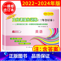 2022-2024年版领先一步 英语 上海 2022-2024年版领先一步 英语 [正版]2022-2024年版领先一步