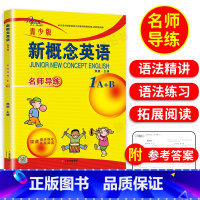 新概念英语青少版 1A1B 名师导练 [正版]子金传媒新概念英语青少版1A1B名师导练新概念英语青少版1ab习题大全课课