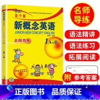 新概念英语青少版 1A1B 名师导练 [正版]子金传媒新概念英语青少版1A1B名师导练新概念英语青少版1ab习题大全课课