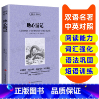 [正版]地心游记 中英文版英汉对照经典世界名著外国文学长篇小说英文版原版英语读物初中高中生课外阅读书籍小学生三四五六年