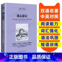 [正版]地心游记 中英文版英汉对照经典世界名著外国文学长篇小说英文版原版英语读物初中高中生课外阅读书籍小学生三四五六年